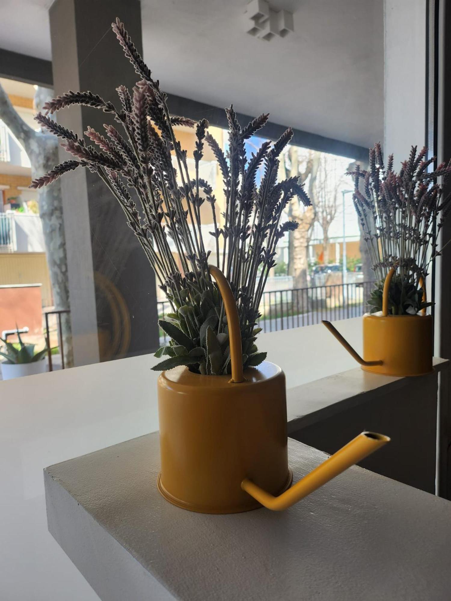 Crisvan Bellaria-Igea Marina Extérieur photo